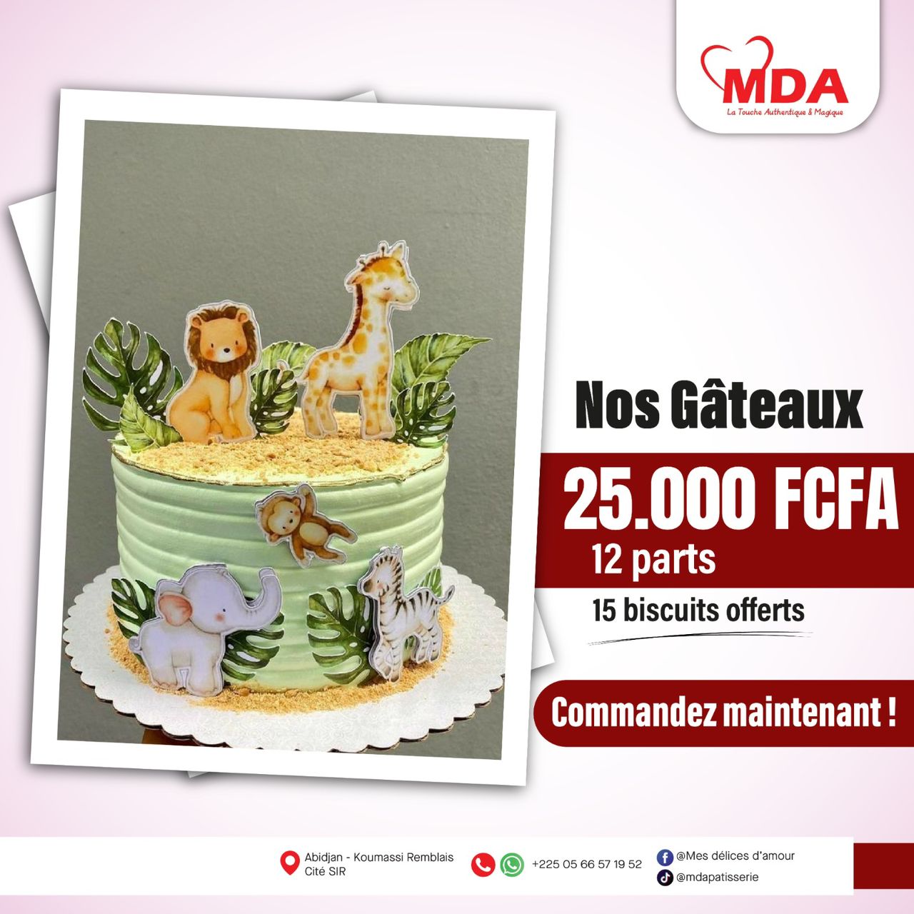 Gâteau Anniversaire Enfant 12 parts