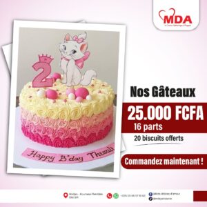 Gâteau Anniversaire 16 parts