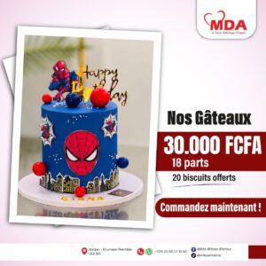 Gâteau Anniversaire 18 parts